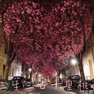 裸体学院(校园H)
