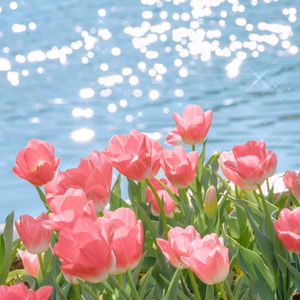 裸体学院(校园H)
