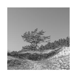 裸体学院(校园H)
